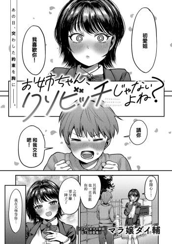 お姉ちゃん、クソビッチじゃないよね cover