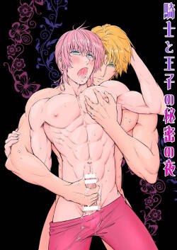 The Knight and the Prince's Secret Night