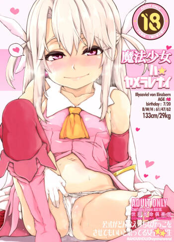 魔法少女ハヤメラレナイ cover