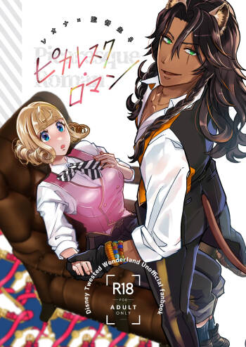 Picaresque Roman cover