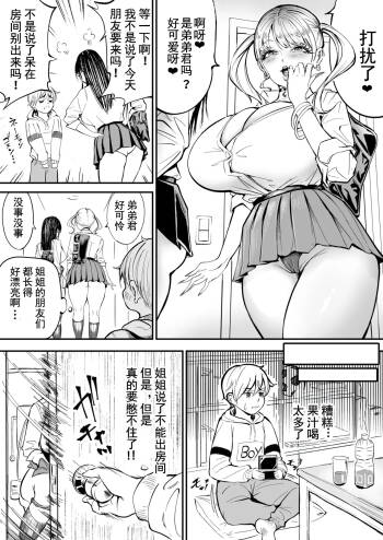 Toshiue Gal no Otoile Kanzenban cover