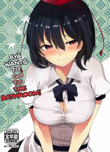 Toile ni Ikitai! Aya-san desu ga cover