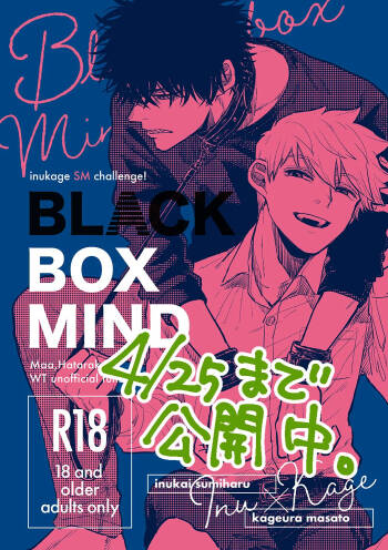 BLACK BOX MIND cover