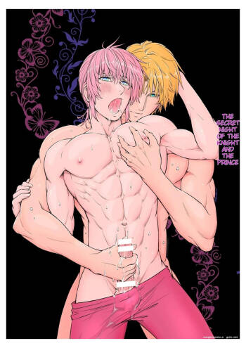The Knight and the Prince‘s Secret Night cover