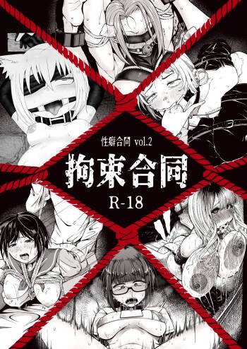 Seiheki Goudou vol.02 ~Kousoku Goudou~ cover