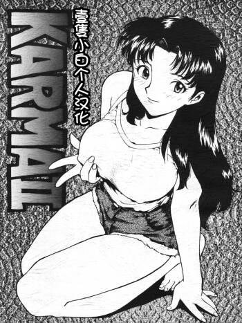 Karma II cover