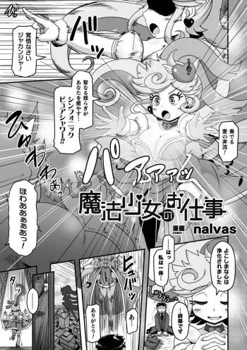 魔法少女のお仕事 cover