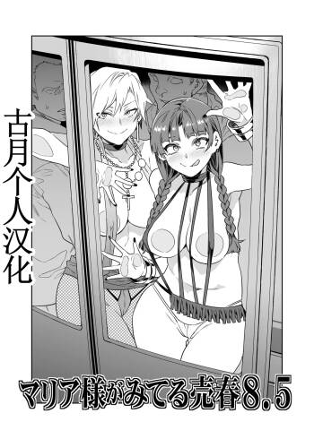 Maria-Sama ga Miteru Baishun 8.5 cover