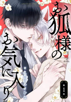 狐仙大人的绝世宠爱