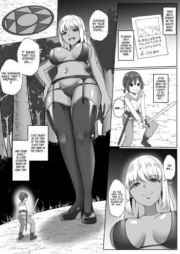 The story about the time I was eaten by an Elf Onee-san cover