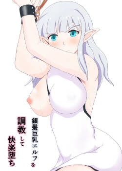 Ginpatsu Kyonyuu Elf o Choukyou shite Kairaku Ochi