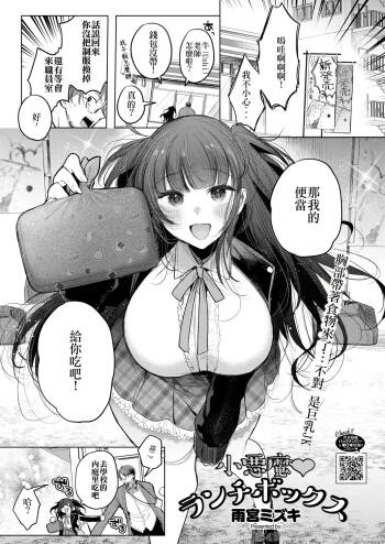 Koakuma Lunch Box cover