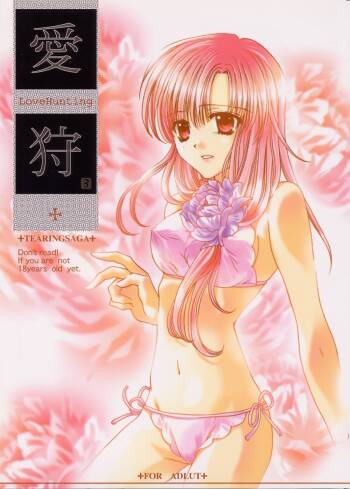 Love Hunting 3 cover