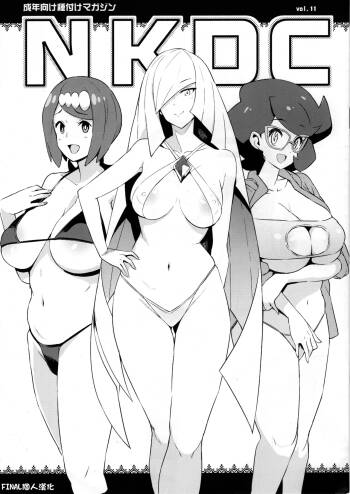 NKDC Vol. 11 cover