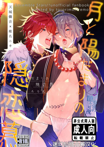月と陽だまりの隠恋慕 cover