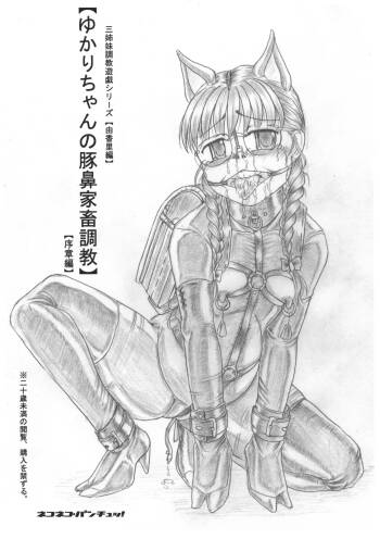 Yukari-chan no Butabana Kachiku Choukyou Joshou-hen Sanshimai Choukyou Yuugi Shiirizu Yukari-hen cover