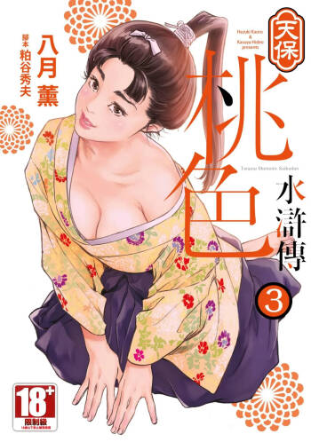 Tenpou Momoiro Suikoden 3 | 天保桃色水滸傳 3 cover