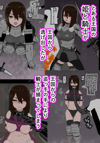 騎士・姫敗北拘束記録 cover