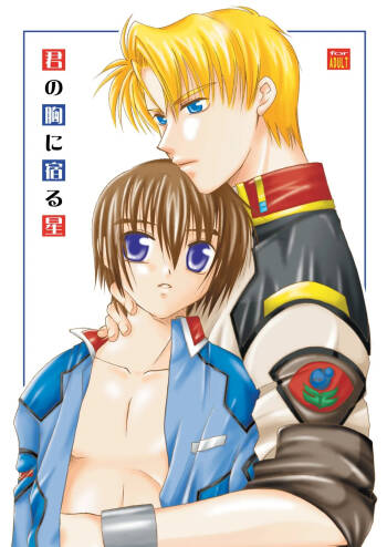 君の胸に宿る星 cover