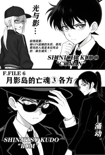 月影岛的亡魂③各方（detective conan） cover