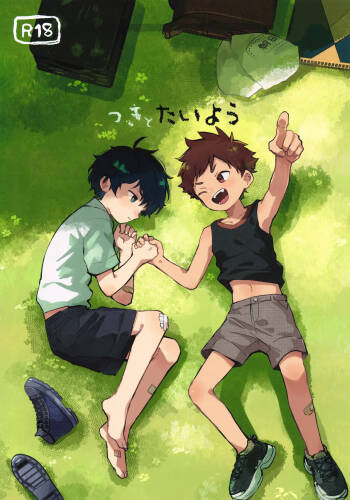 The Moon and the sun cover