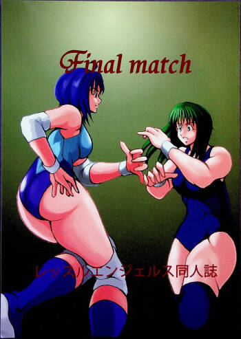 Final Match cover