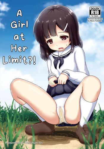 A Girl at Her Limit?! cover