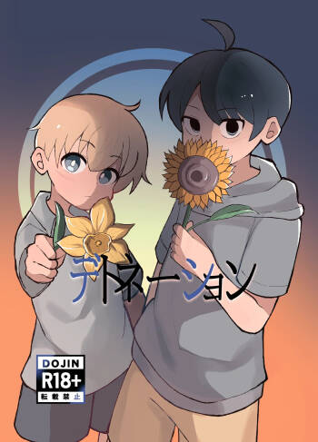Detonation cover