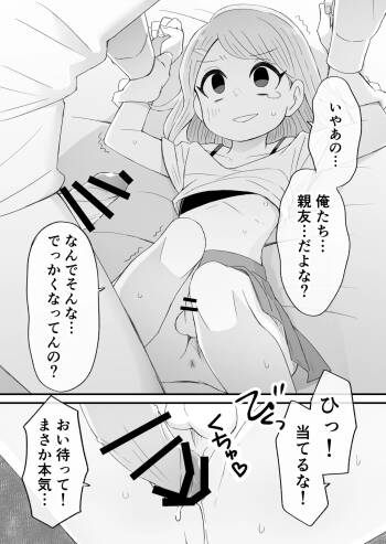 悪ふざけが過ぎた女装っ子 cover