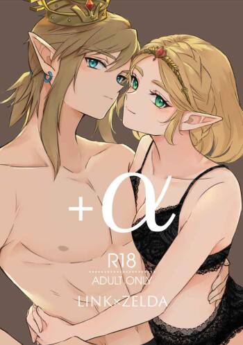 +α cover