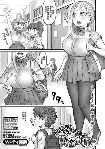 気になるあの子の秘密試験 cover