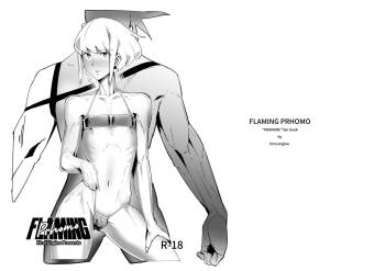 FLAMING PRhomo cover