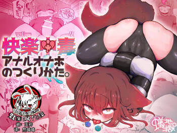 Kairaku  Chuudoku Anal Onaho  no Tsukurikata. | 快乐中毒屁穴自慰套的制作方法。 cover