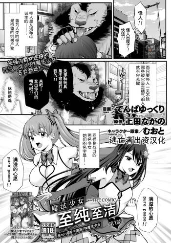 Mahou Shoujo MagiPure ~NTR Choukyou ni Ochiru W Mahou Shoujo~ THE COMIC Ch. 1-11 cover