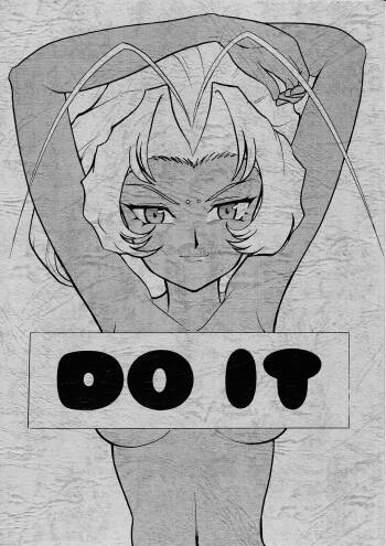 DO IT cover