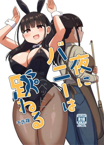 Yoru ni Bunny wa  Haneru cover