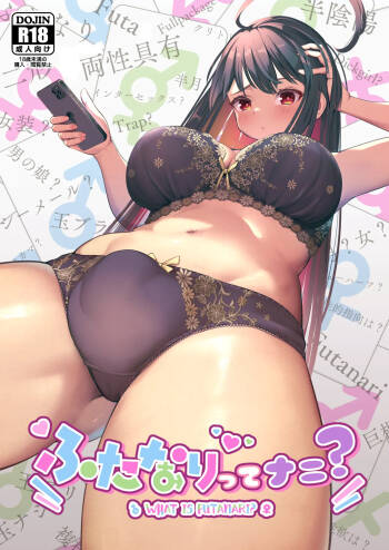 Futanari, tte Nani? - What is Futanari? cover