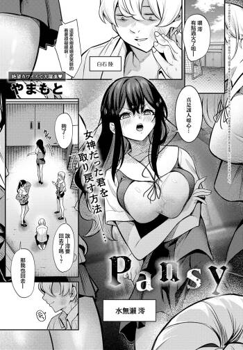Pansy cover