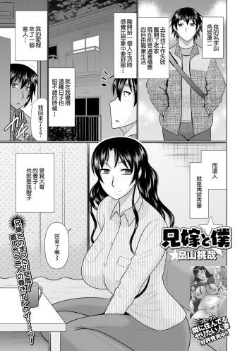 兄嫁と僕 cover
