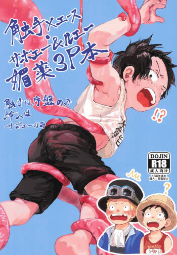 Shokushu × Ace Sabo & Luffy biyaku 3P hon cover