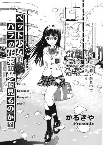 Pet Shoujo wa Bara no Hanataba Yume o Miru no ka? - Do Pet-Girl Dream of Bouquet of rose? cover