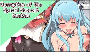 Corruption of the Special Support Section cover