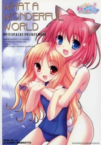 What A Wonderful World cover