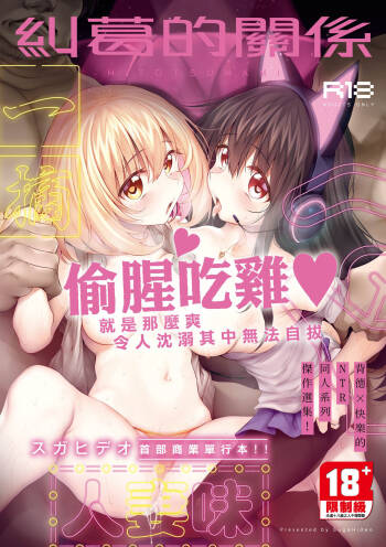 HITOTSUMAMI | 糾葛的關係 cover