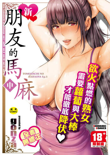 Shin Tomodachi no Hahaoya  | 新．朋友的馬麻 cover