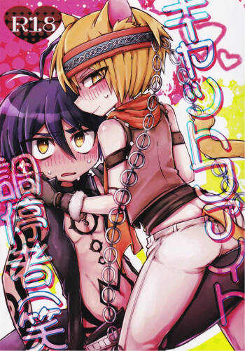 Cat Fight Mediator cover