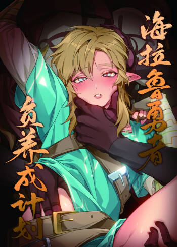 Hyrule Hero Development Plan "Jou" cover
