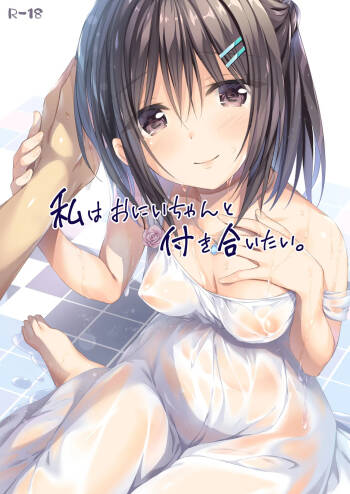Watashi wa Onii-chan to Tsukiaitai. cover