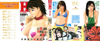 H & H Two & H3 cover