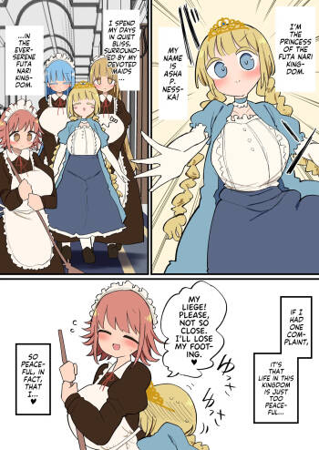 Futanari Oujo-sama no Seiyoku Hassan Maid Harem Sex cover
